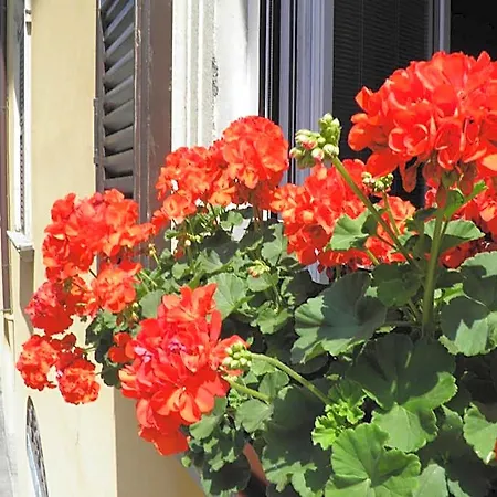 Bed & Breakfast In Centro Charme Bergamo