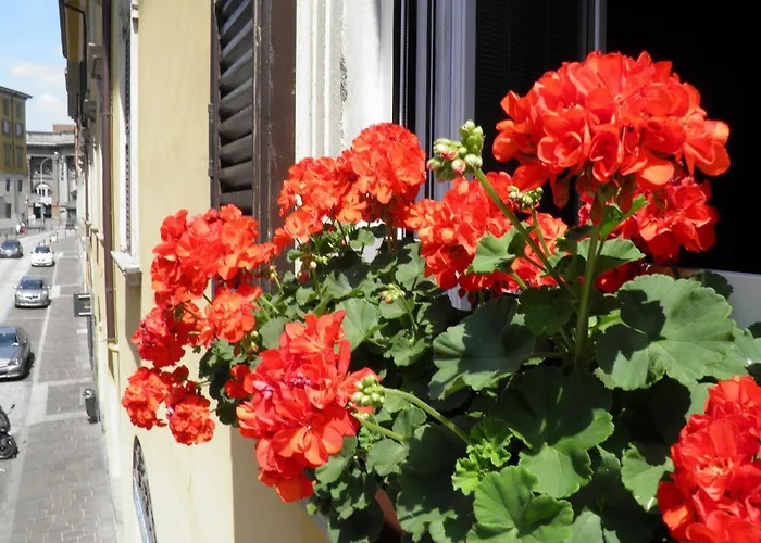 Bed and Breakfast In Centro Charme